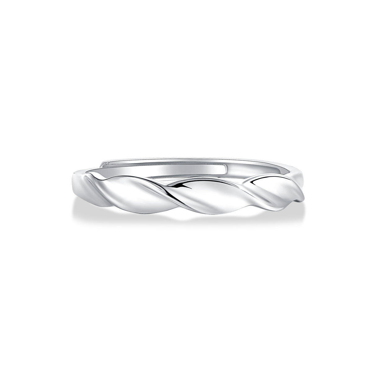 Eternal Vows Sterling Silver 925 Moissanite Matching Rings